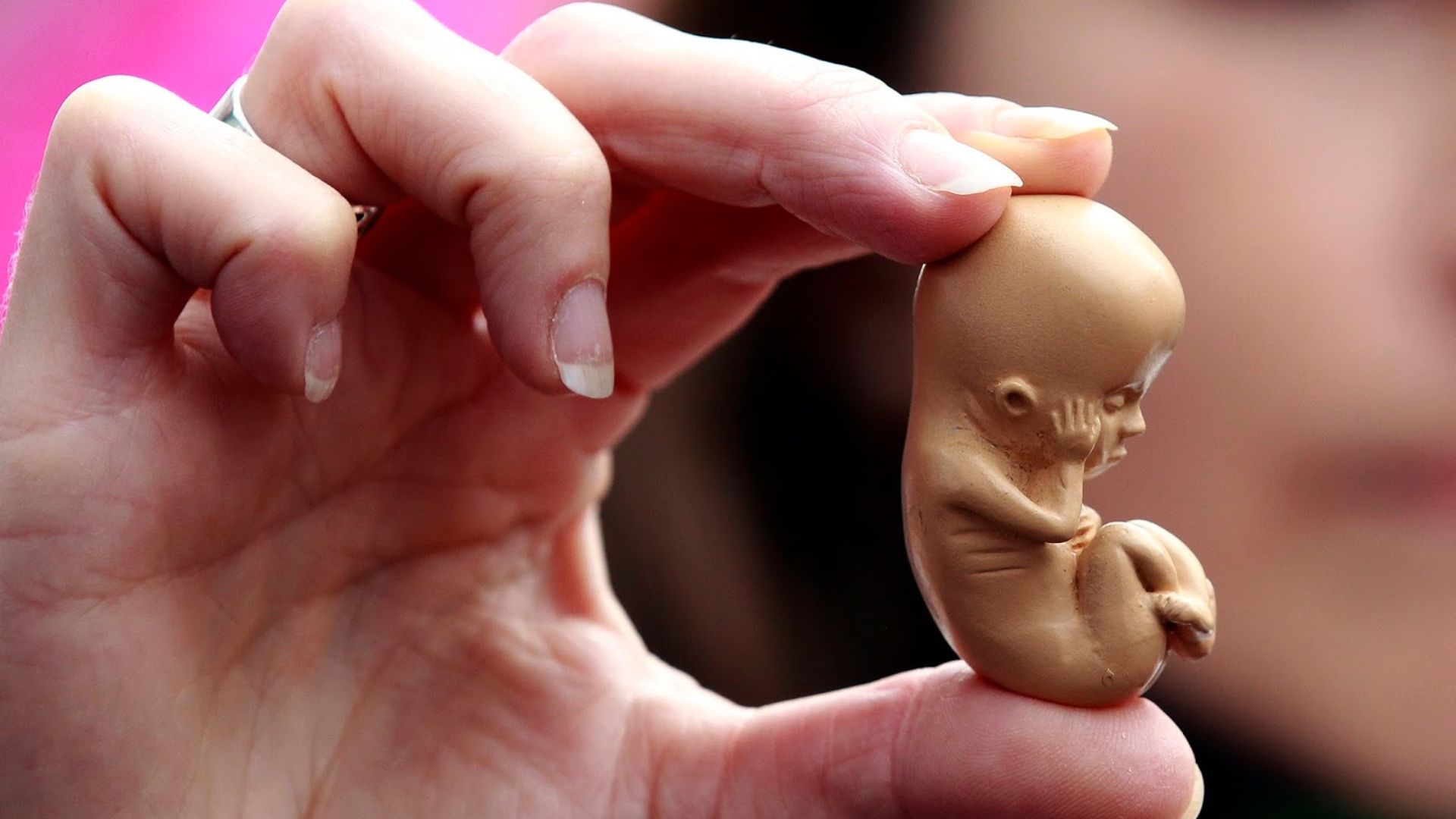 Por que a Igreja se opõe ao aborto? Guia católico